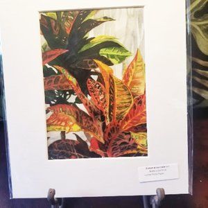 Croton At Our Hale - WC Print - Matted to 8x10